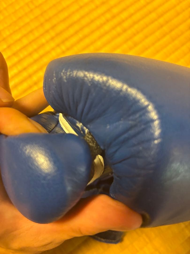 winning ウィニングボクシンググローブ ブルー 8オンス MS-200B