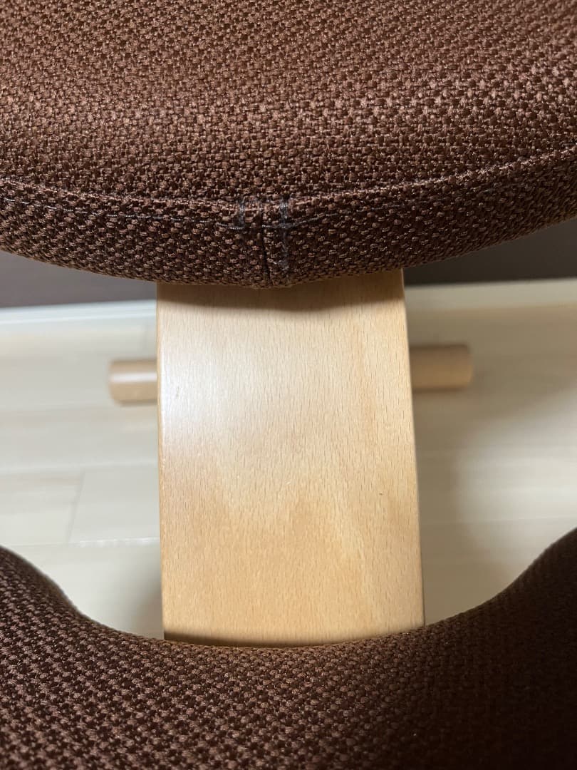 極美品　未使用　balans Easy バランスイージー 専用カバー付き