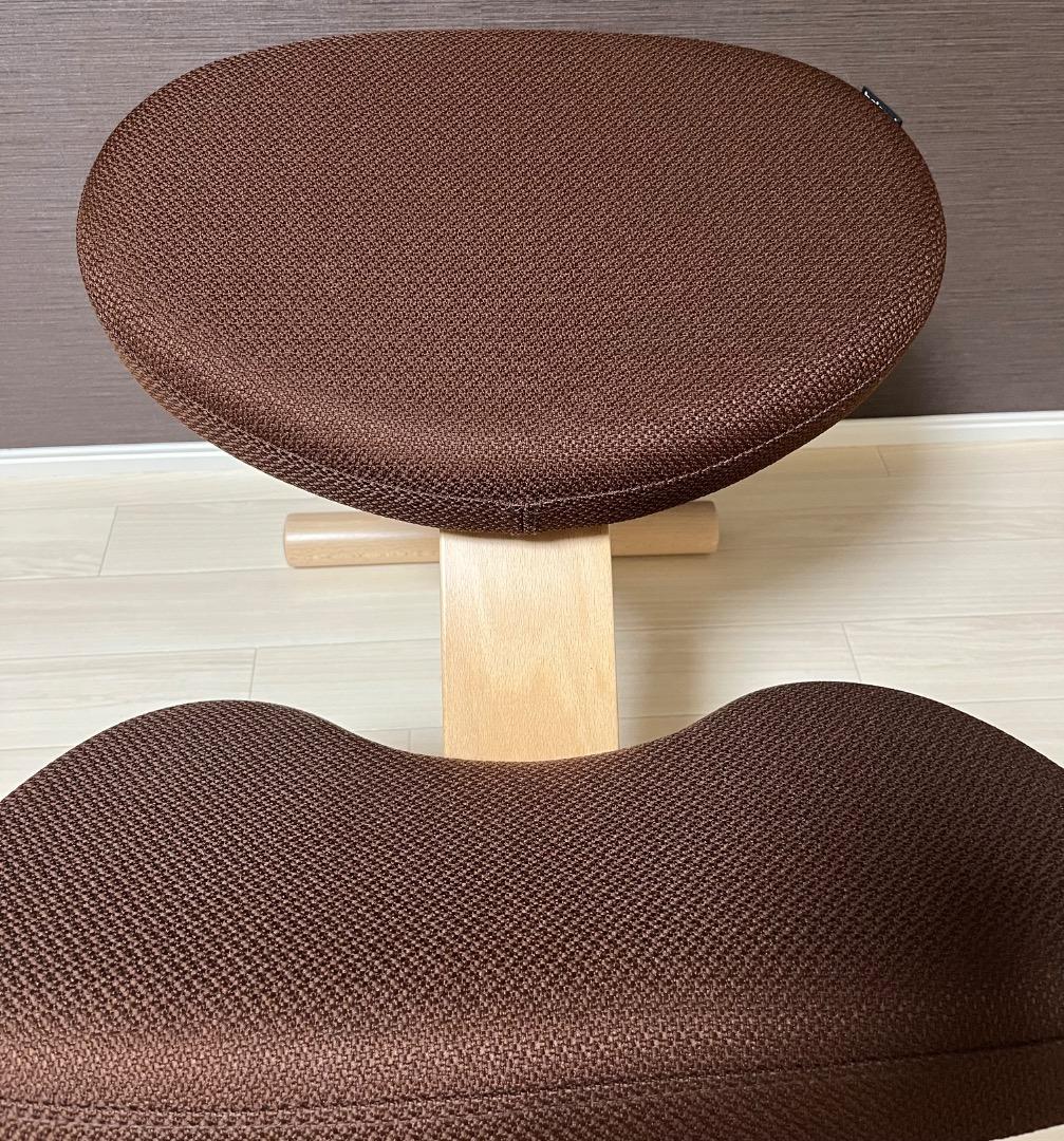 極美品　未使用　balans Easy バランスイージー 専用カバー付き