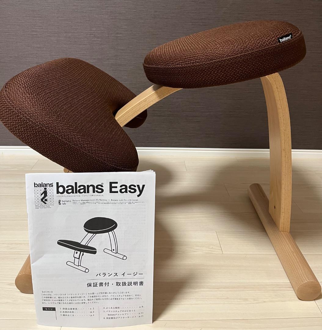 極美品　未使用　balans Easy バランスイージー 専用カバー付き