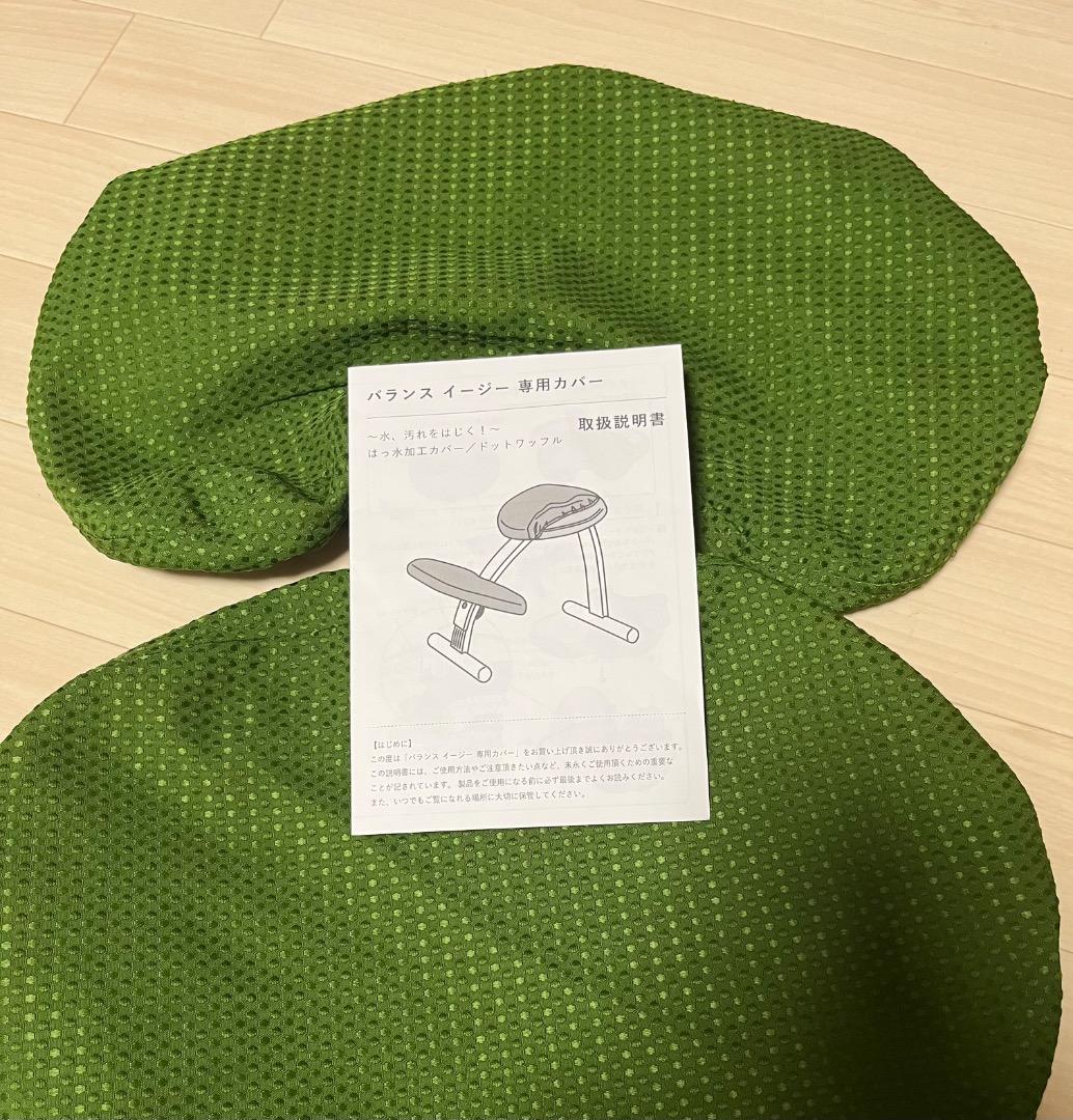 極美品　未使用　balans Easy バランスイージー 専用カバー付き