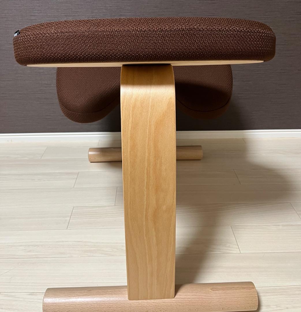 極美品　未使用　balans Easy バランスイージー 専用カバー付き