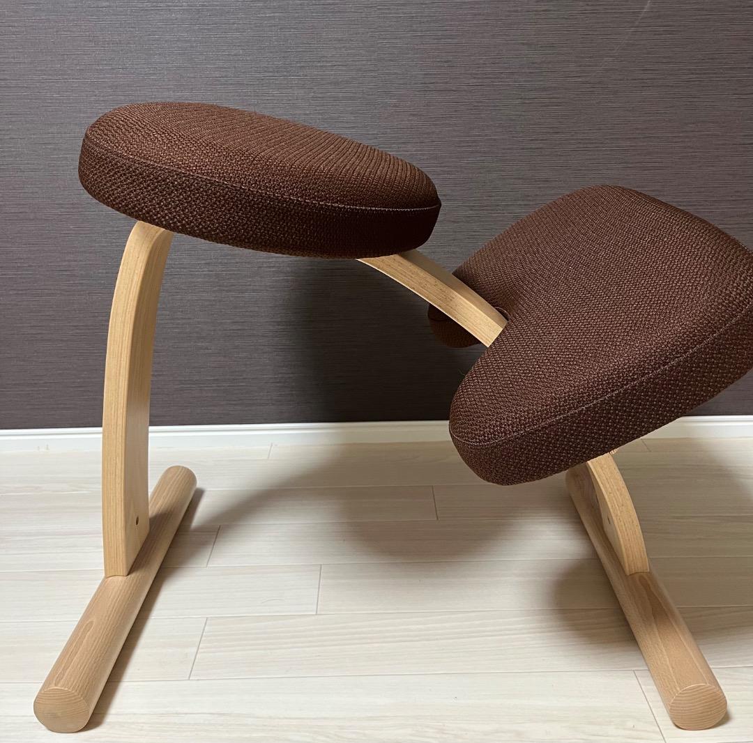 極美品　未使用　balans Easy バランスイージー 専用カバー付き