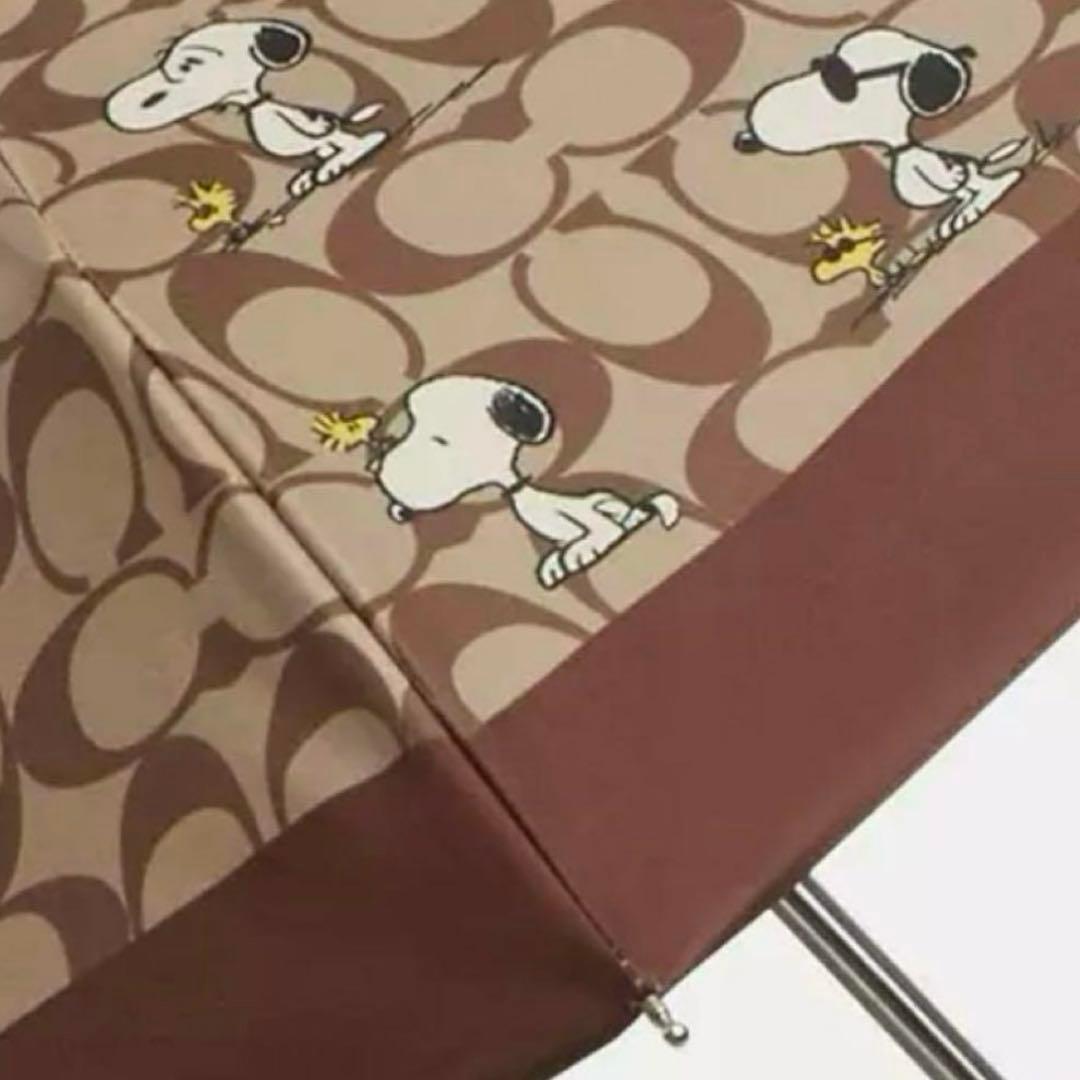 ⭐︎新品⭐︎COACH ✖️PEANUTSシグネーチャースヌーピー柄 折りたたみ傘