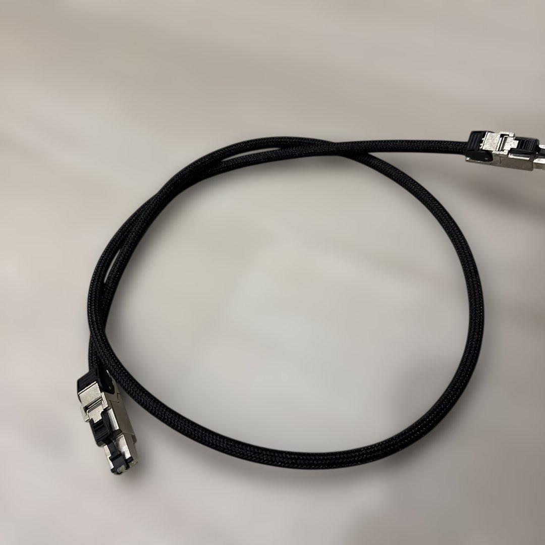 ACOUSTIC REVIVE アコリバ　LAN-1.0 Triple C