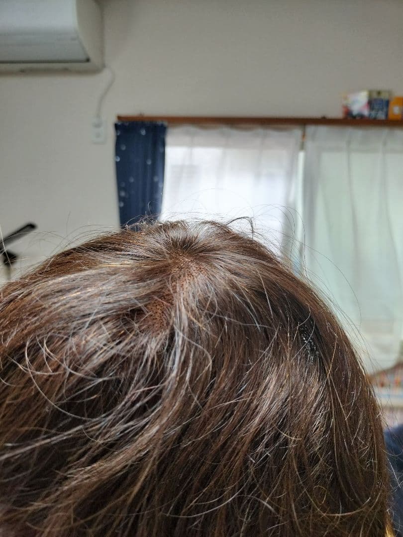 JO ジュリアオージェ　ナチュラルブラウン　ショート、フルウィッグ