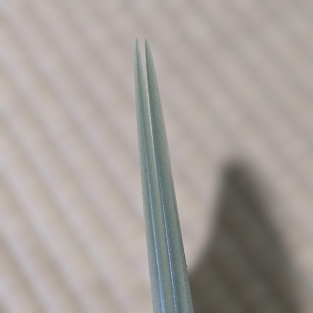 FCSⅡ RETRO KEEL フィン 2枚セット レトロツインキールフィン