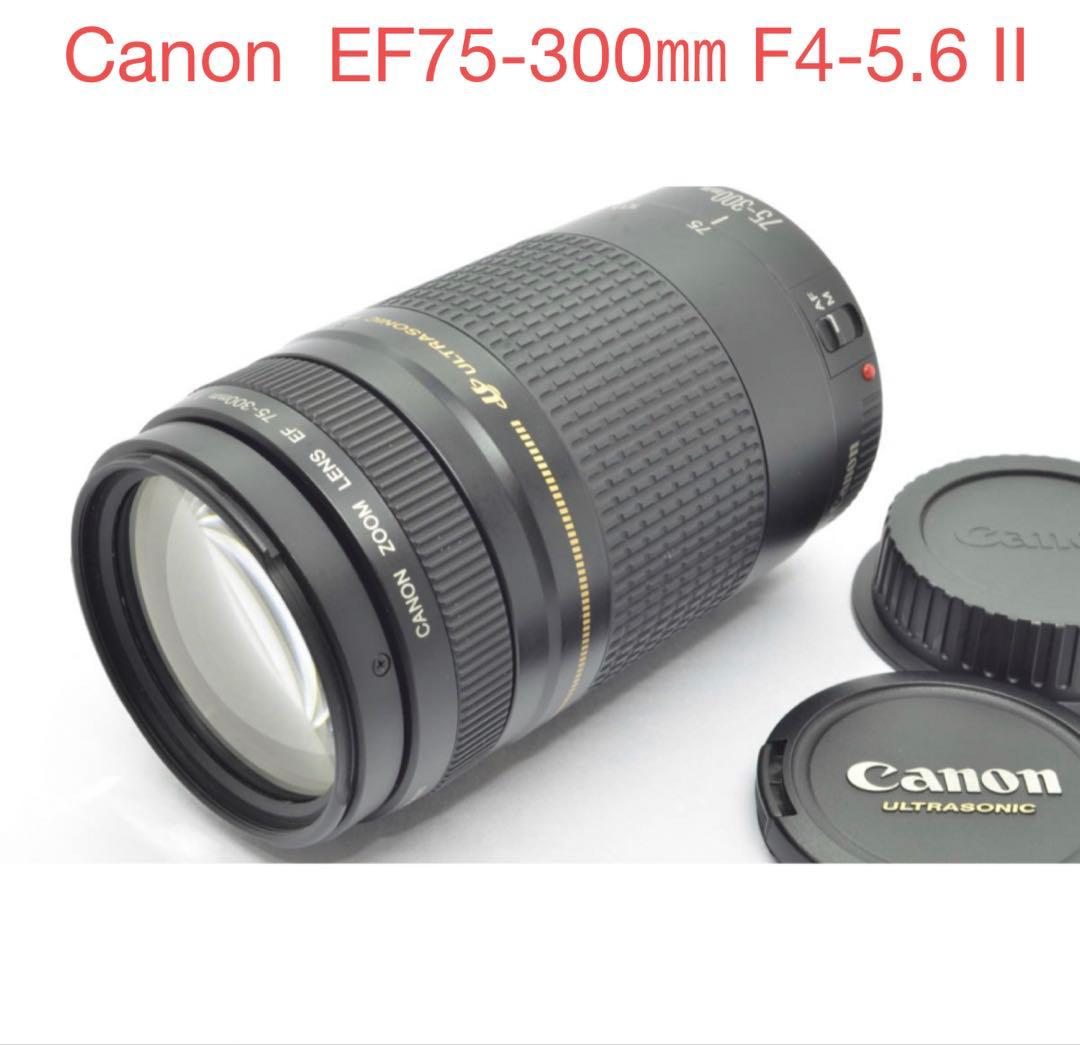 デジタル一眼レフカメラ☆人気の望遠レンズ☆Canon EF75-300㎜☆