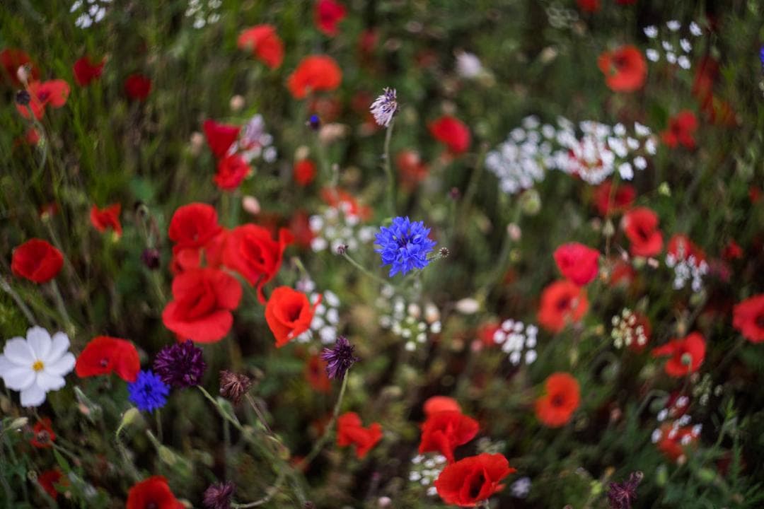 30　未使用　ぐるぐるボケレンズ　 ヘリオス　44-2　M42