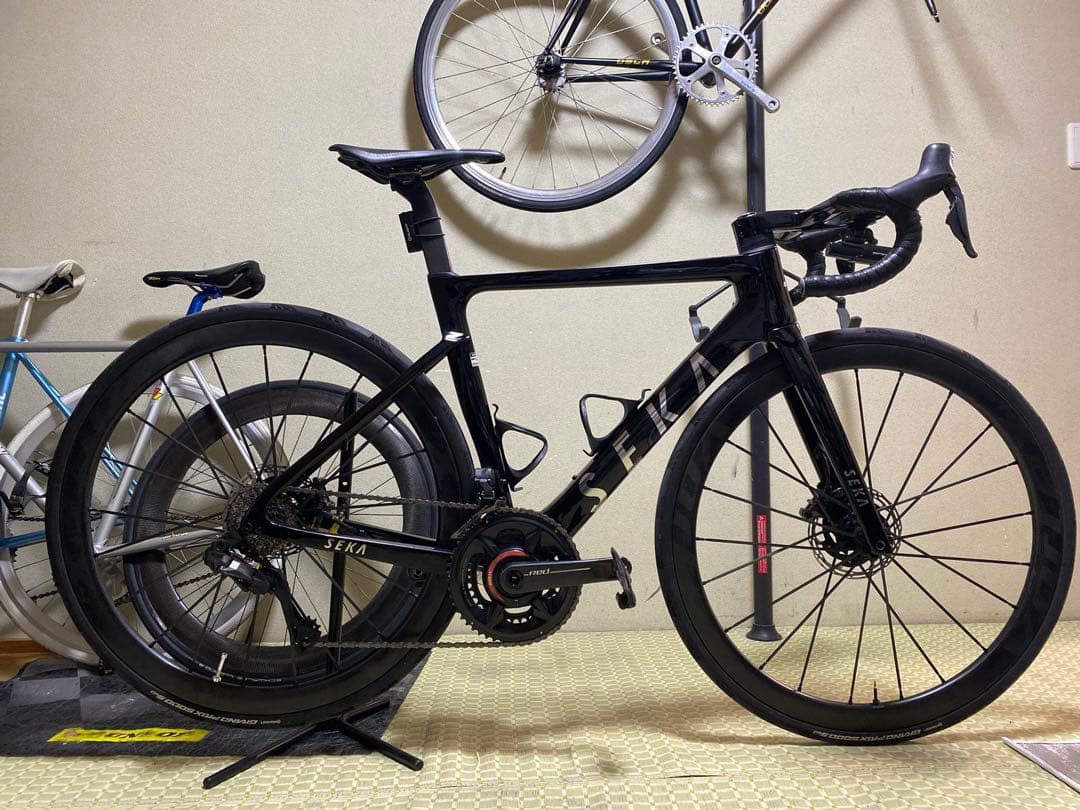 SEKA EXCEED RDC 2023　フレームセット ディスク　ロードバイク