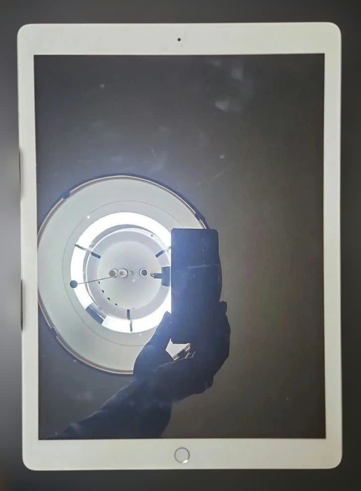 Apple iPadpro シルバー 第1世代 12.9 softbank版