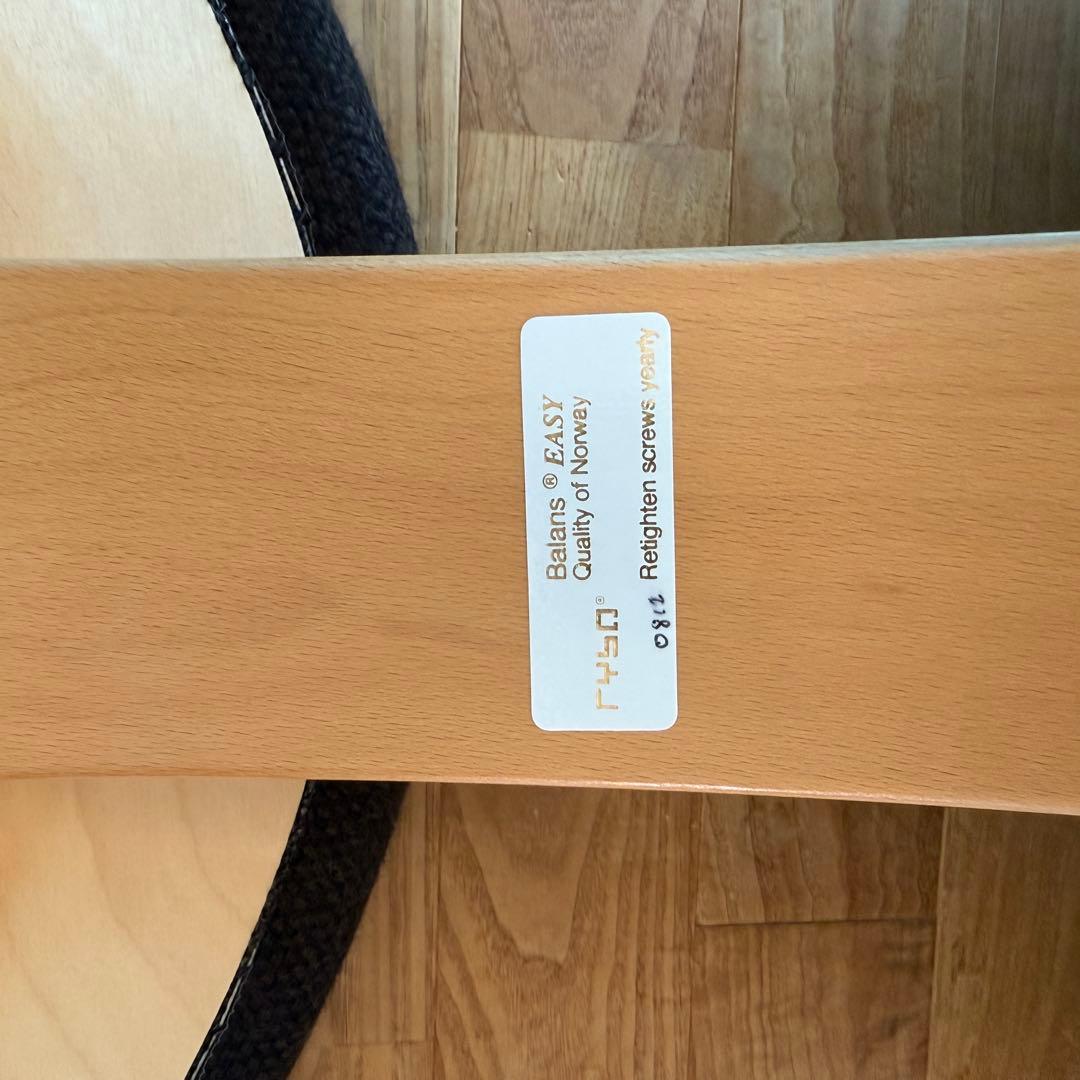 バランスイージー 通常フレーム バランスチェア リボ社 腰痛対策 椅子