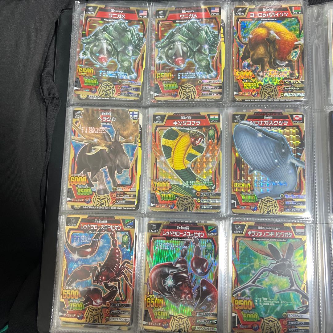 アニマルカイザー　まとめ売り