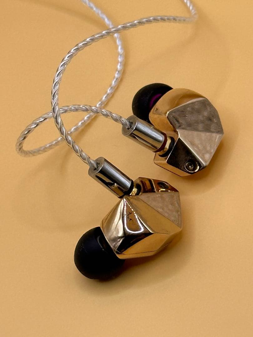 イヤホン final B1 FI-B1BDSSD