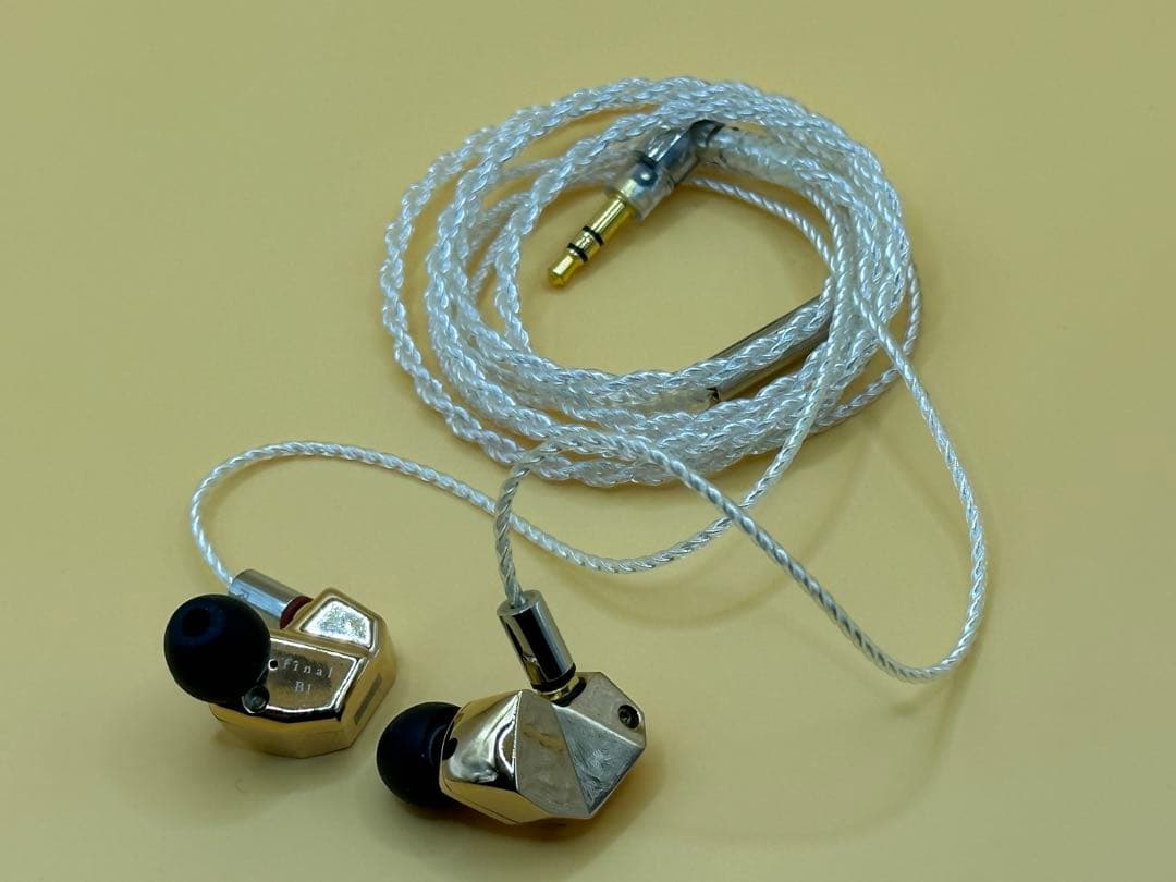 イヤホン final B1 FI-B1BDSSD