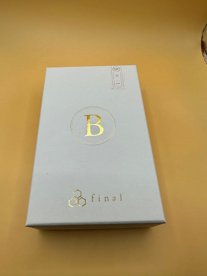 イヤホン final B1 FI-B1BDSSD