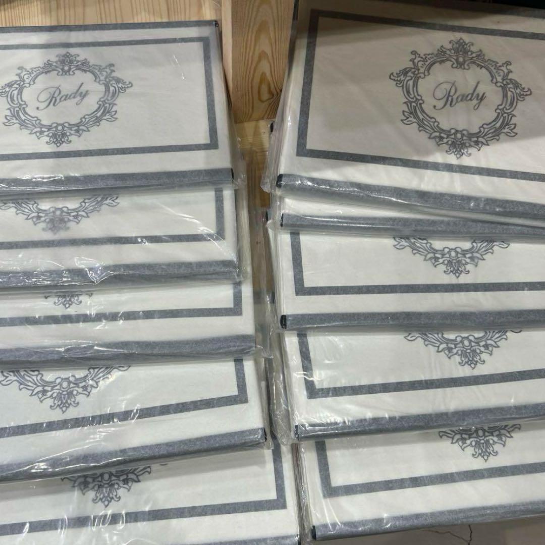 Rady 収納ボックス 10個 ホテルシリーズ