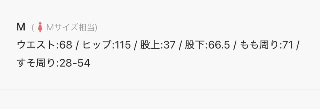 エイミーロウ　バイオ加工 アウトポケット カーゴパンツ