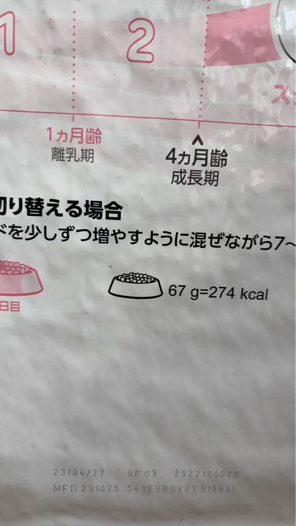  CANIN 子猫用成長後期 ドライフード 10kg