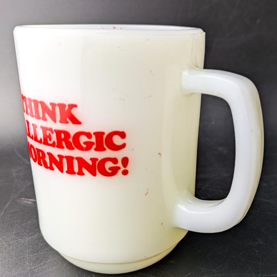 cocoさん専用ファイヤーキング スヌーピー＆ウッドストック ヴィンテージマグ