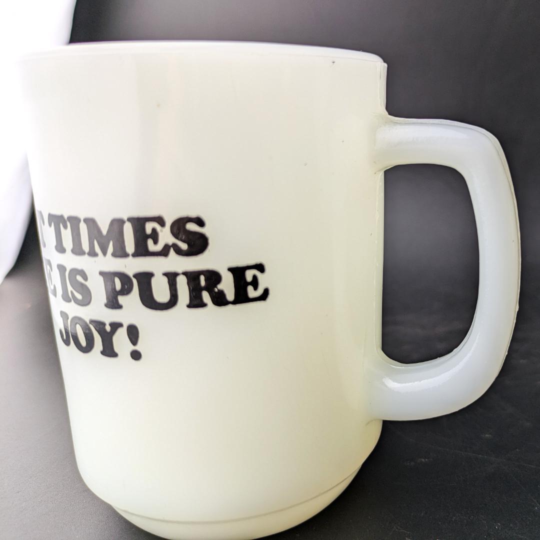 cocoさん専用ファイヤーキング スヌーピー＆ウッドストック ヴィンテージマグ