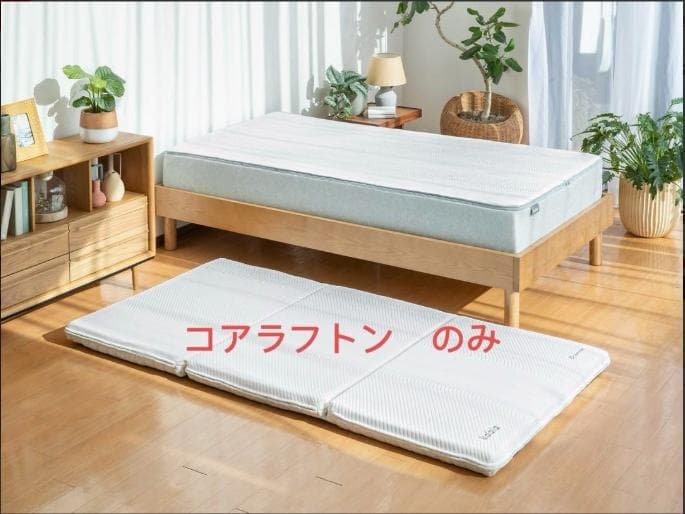 「新品未使用」「24時間内発送」「最安値」コアラフトン OASIS