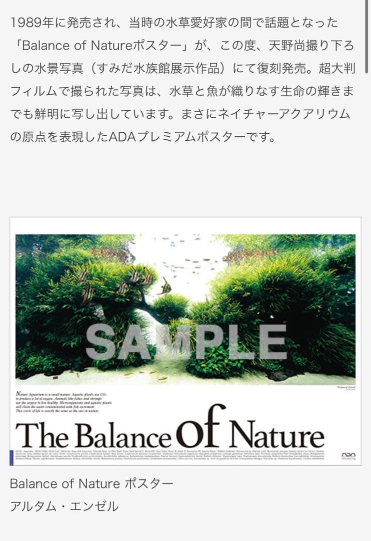 ADAポスター【入手困難レア】