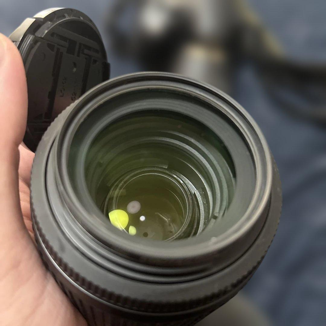 Nikon D3100 レンズ付き