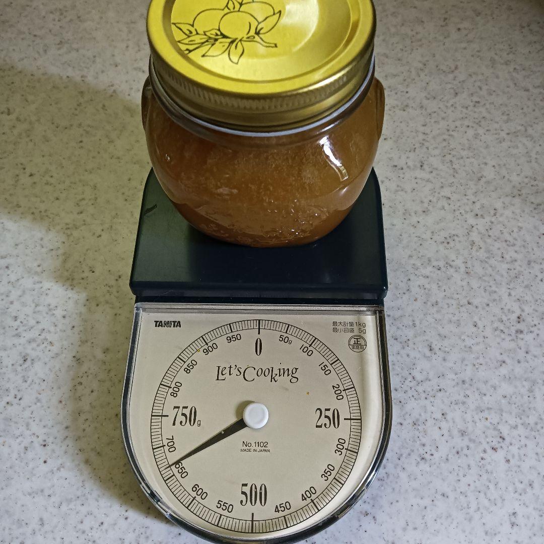 日本蜜蜂はちみつ採れたて880g垂れ蜜