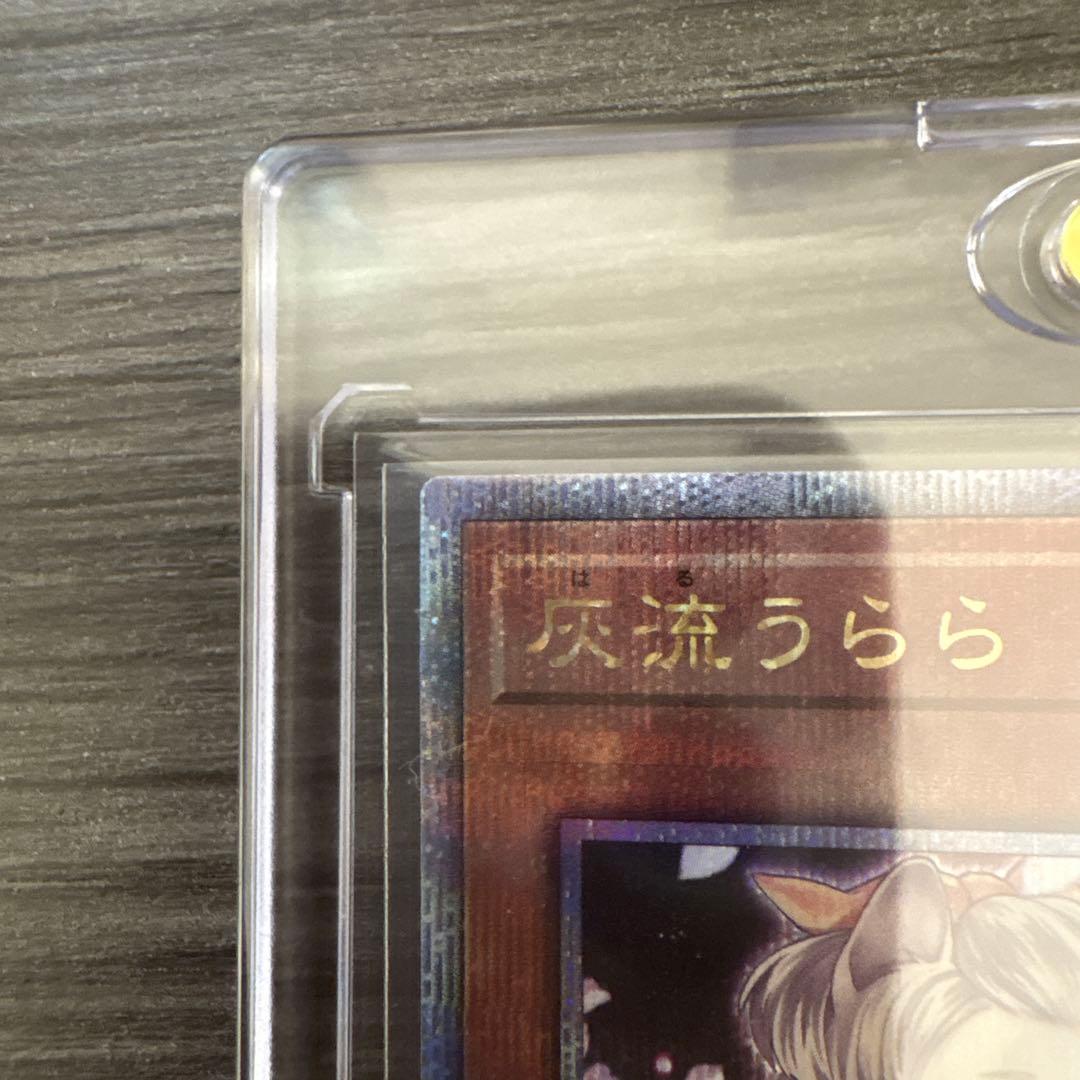 灰流うらら はるうらら 25th QCAC-JP050 遊戯王