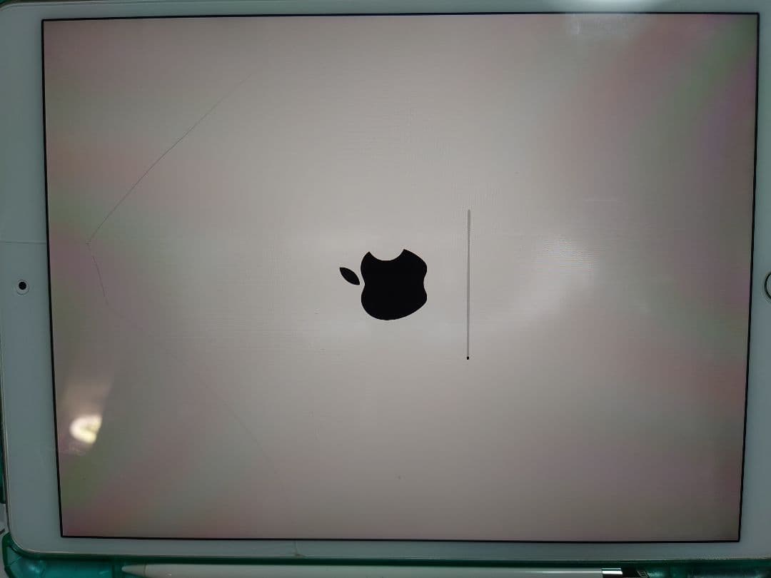 iPad本体 Apple 10.5inch iPad Pro 256GB Cellular