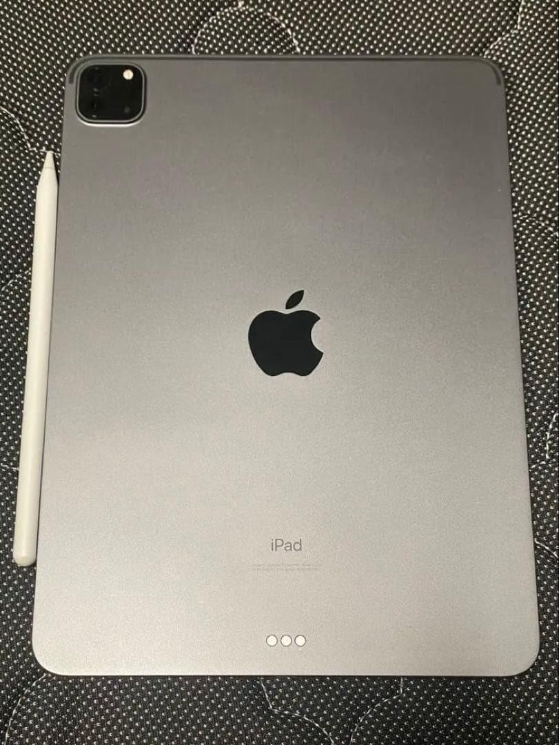 iPad Pro 256GB 第2世代　11インチ+ Apple Pencil