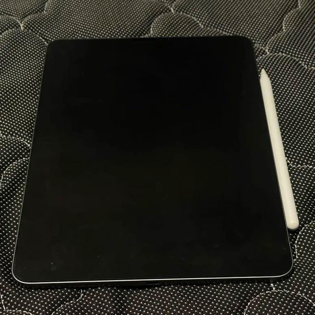 iPad Pro 256GB 第2世代　11インチ+ Apple Pencil