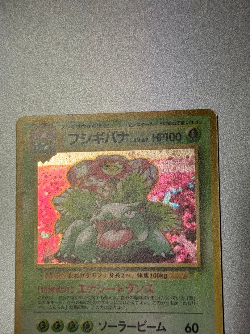 フシギバナ　旧裏　とりかえっこプリーズ