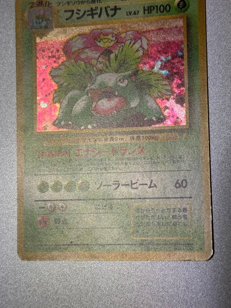 フシギバナ　旧裏　とりかえっこプリーズ