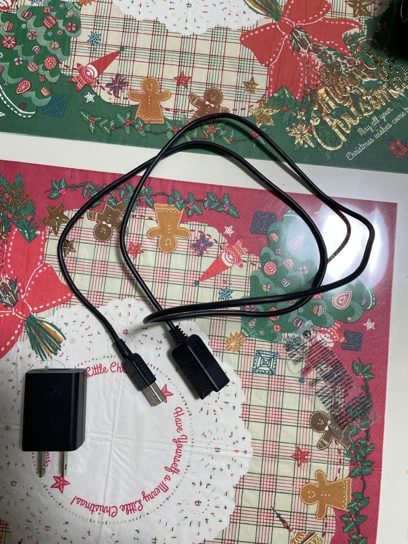 デジタルカメラ SONY HDR-CX670