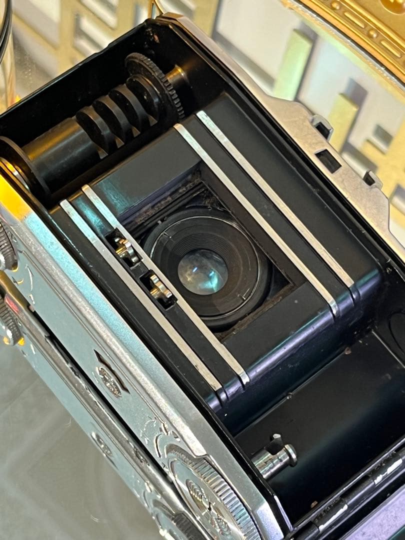 Zeiss Ikon Ikonta Novar45mm f3.5 蛇腹