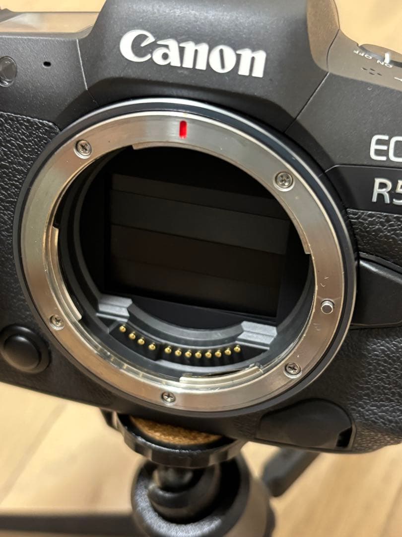 Canon EOS R5 本体 + 付属品