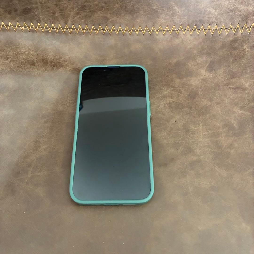 【激レア】激レア　100%電池iPhone13 早い物勝ち！