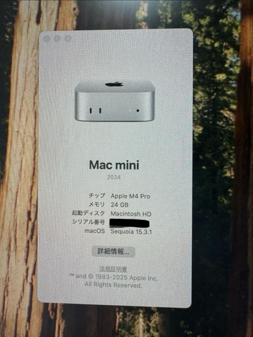 Apple Mac mini M4 Pro搭載 24GB SSD 512GB