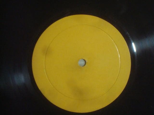 洋楽 LIVE ON BLUEBERRY HILL / LED ZEPPELIN