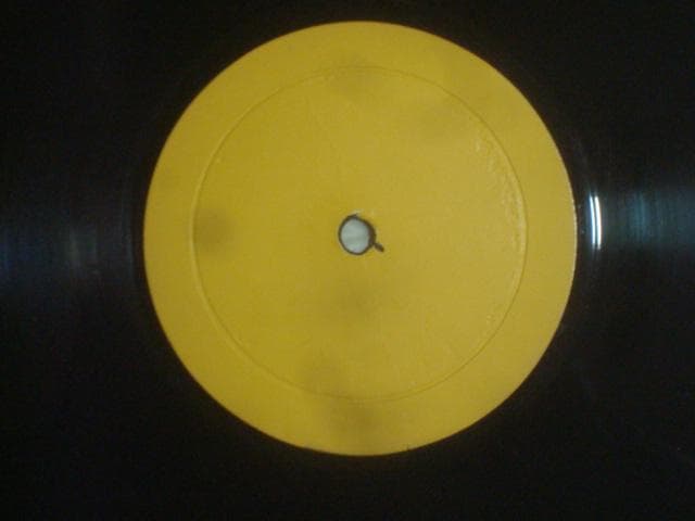 洋楽 LIVE ON BLUEBERRY HILL / LED ZEPPELIN