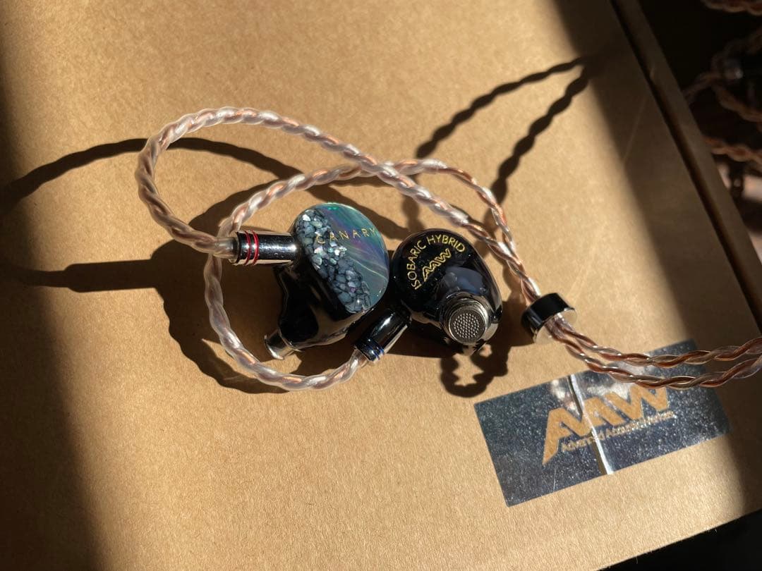 N*1様 AAW canary 専用ケース付き