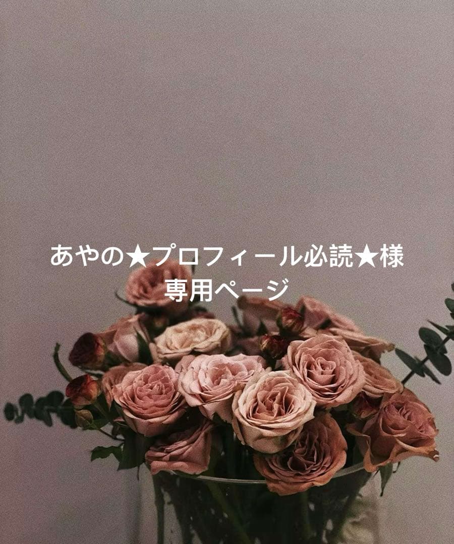 あやの★プロフィール必読★ページ