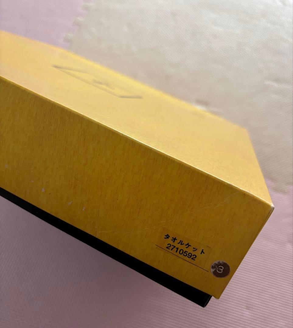 FENDI タオルケット