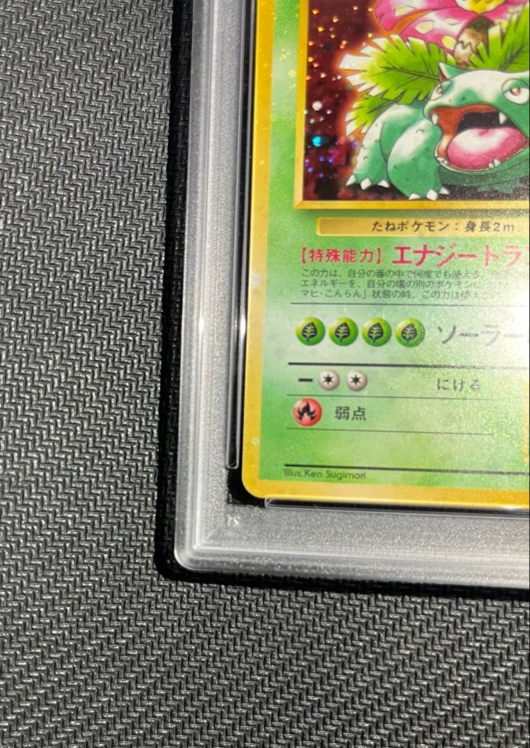 フジギバナ　旧裏　psa10