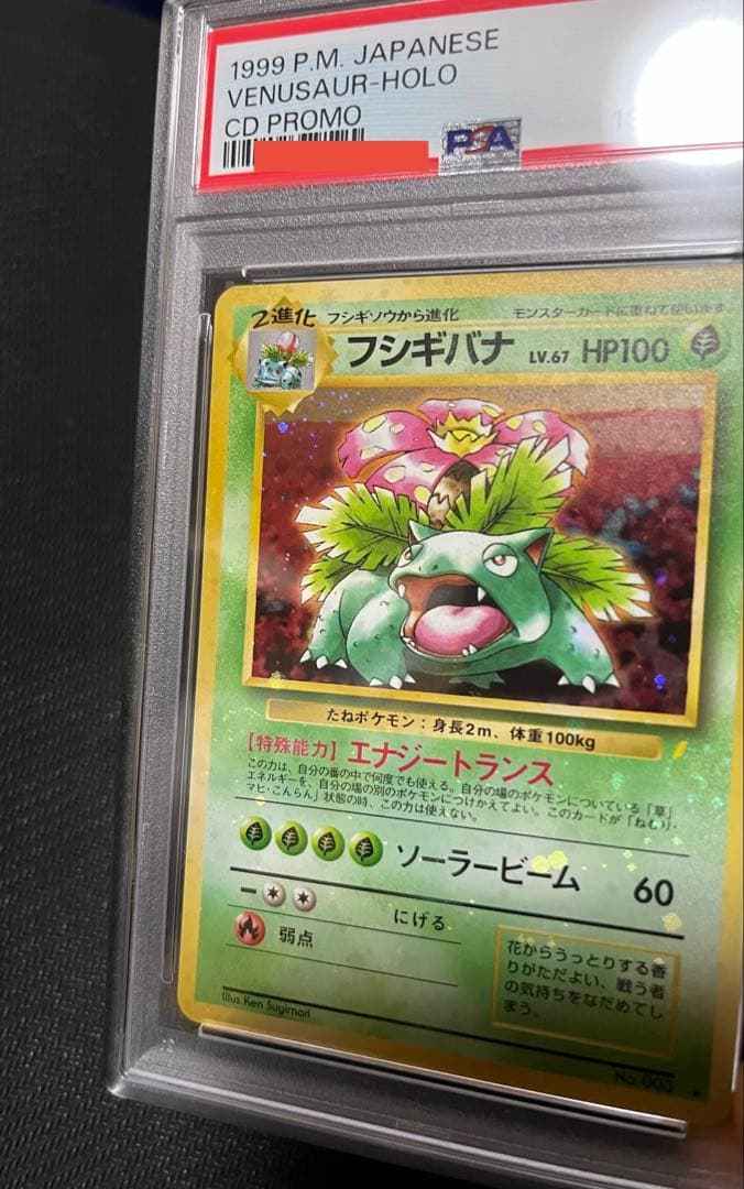 フジギバナ　旧裏　psa10
