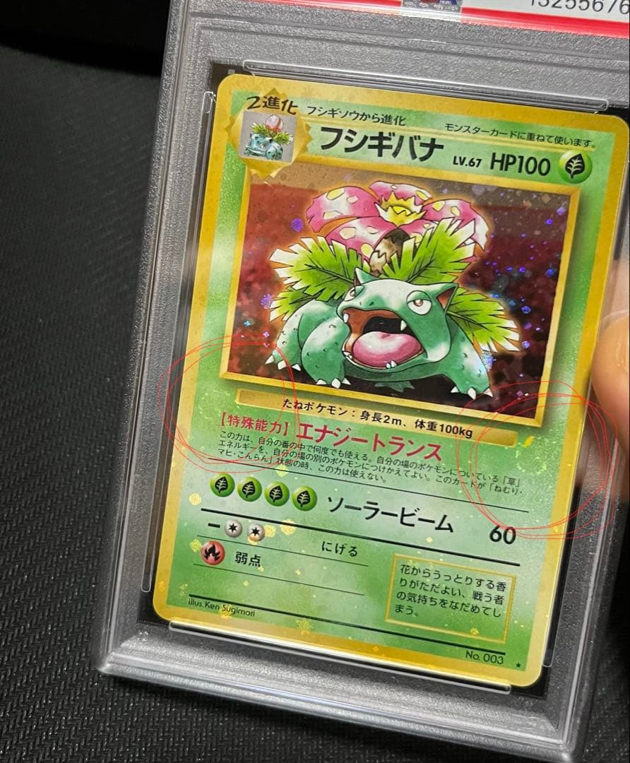 フジギバナ　旧裏　psa10