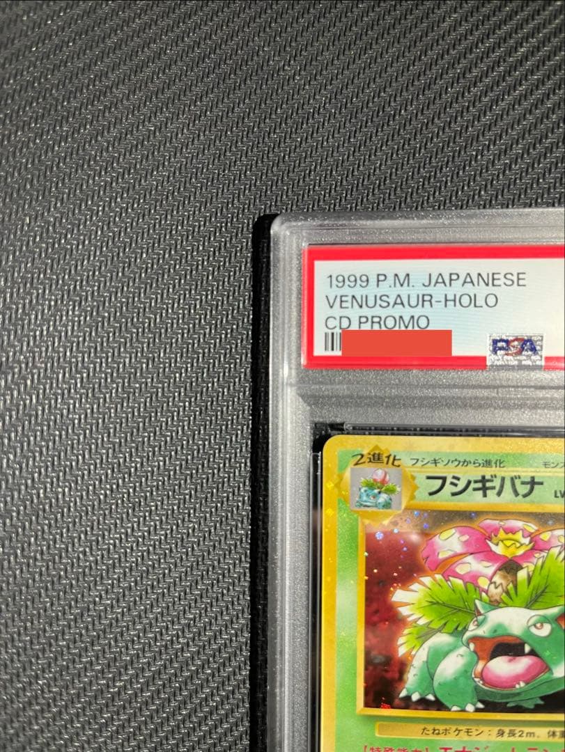 フジギバナ　旧裏　psa10