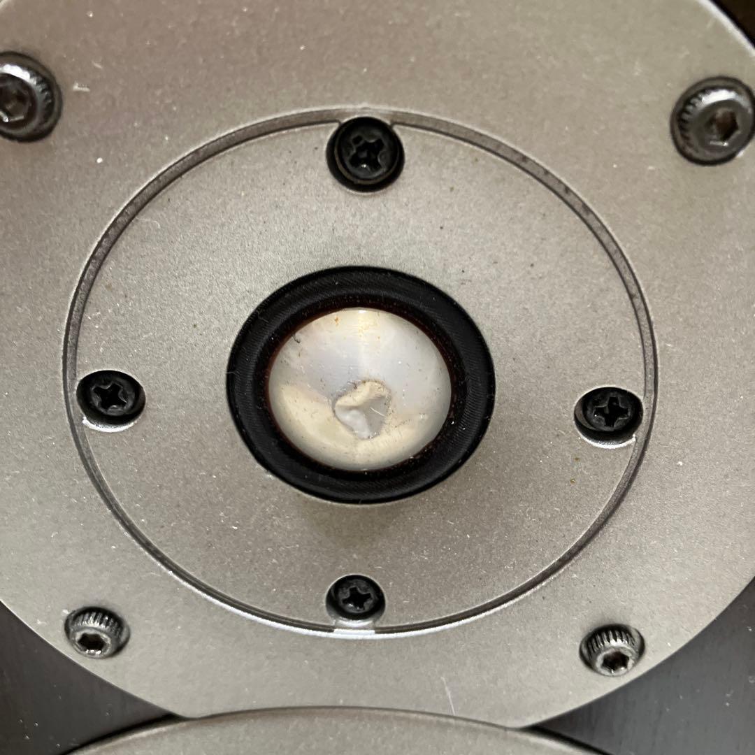 スピーカー・ウーファー FOSTEX GX100